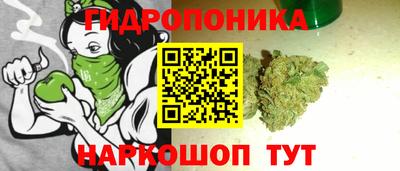 скорость Заволжье
