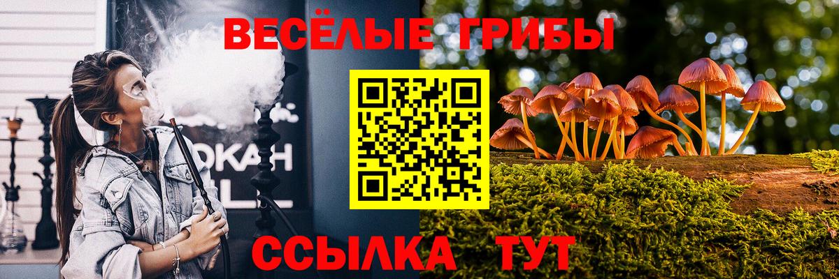Псилоцибиновые грибы GOLDEN TEACHER Волоколамск